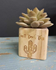 Picture of WOOD PLANTERS - ASSORTED, Picture 4